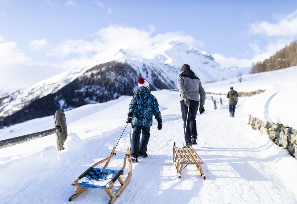 Sledding - an unforgettable event for the whole family